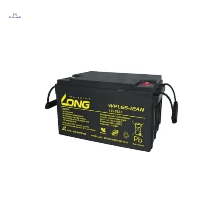 LONG LG7-12 12V 65Ah Rechargeable Sealed Lead Acid Battery